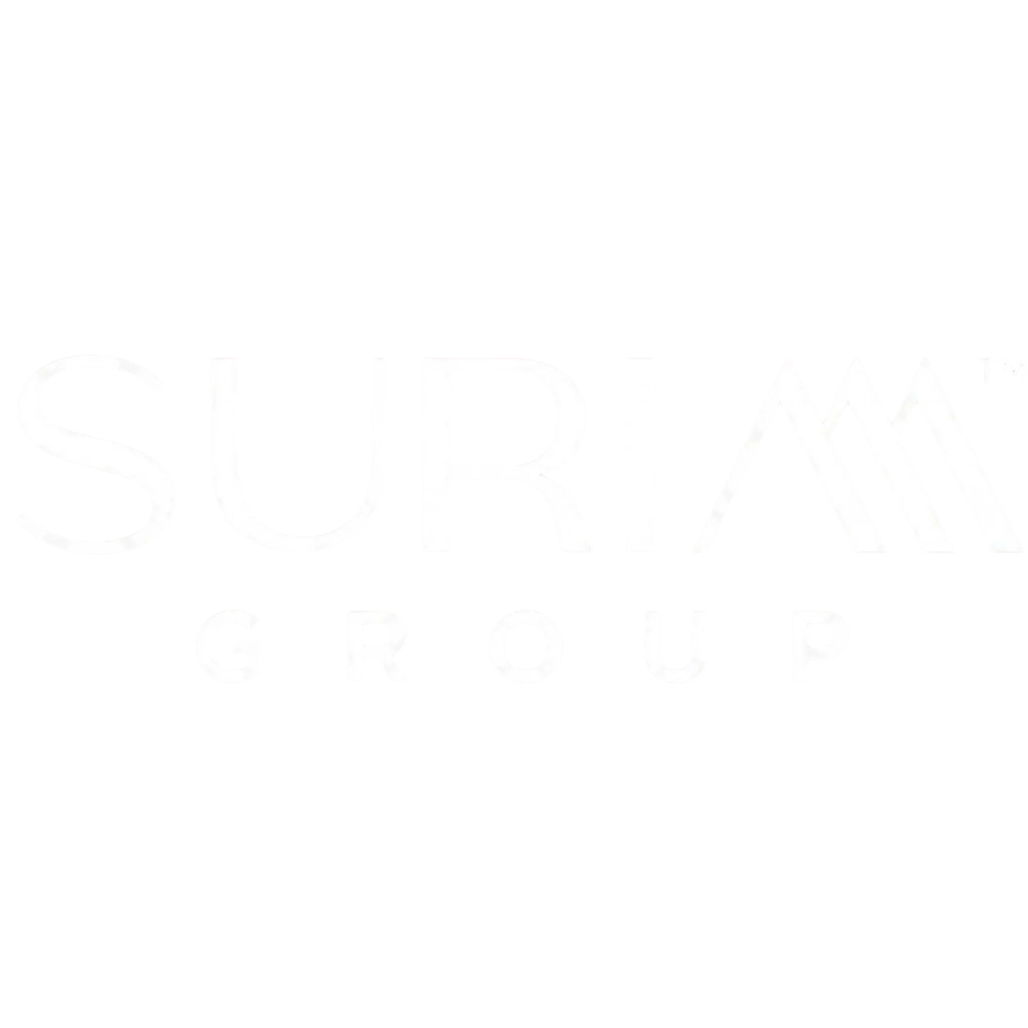 Client Logo 6